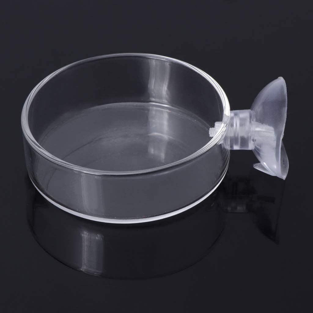 Aquarium Shrimp Feeding Dish with Suction Cup High Transparent Glass B