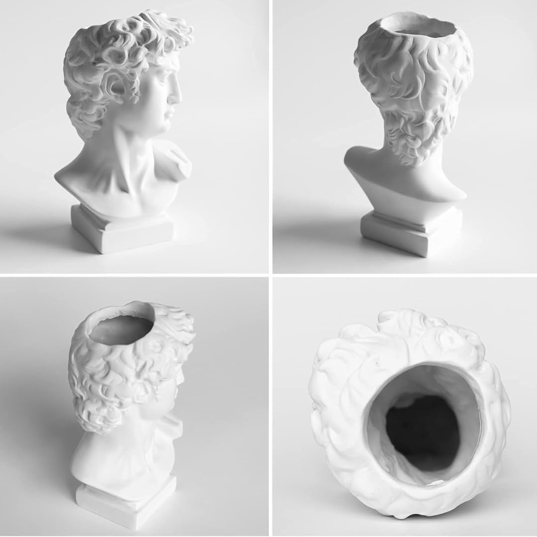 David Head Plant Pot Flower Vase Roman Style Face Planter for Garden Home Office Decorative Bust Statue Planter Modern Decor (Medium)