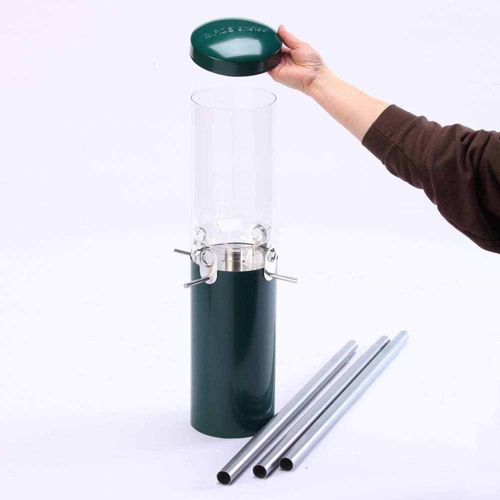 Birds Choice Classic Squirrel Proof Bird Feeder with Pole Mount | Tube Bird Feeder for Cardinals, Chickadees, Woodpeckers | Sturdy Steel for Long-Lasting Use | Backyard Bird Seed Dispenser | Green