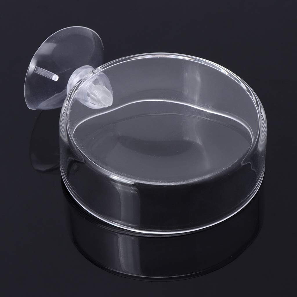 Aquarium Shrimp Feeding Dish with Suction Cup High Transparent Glass B