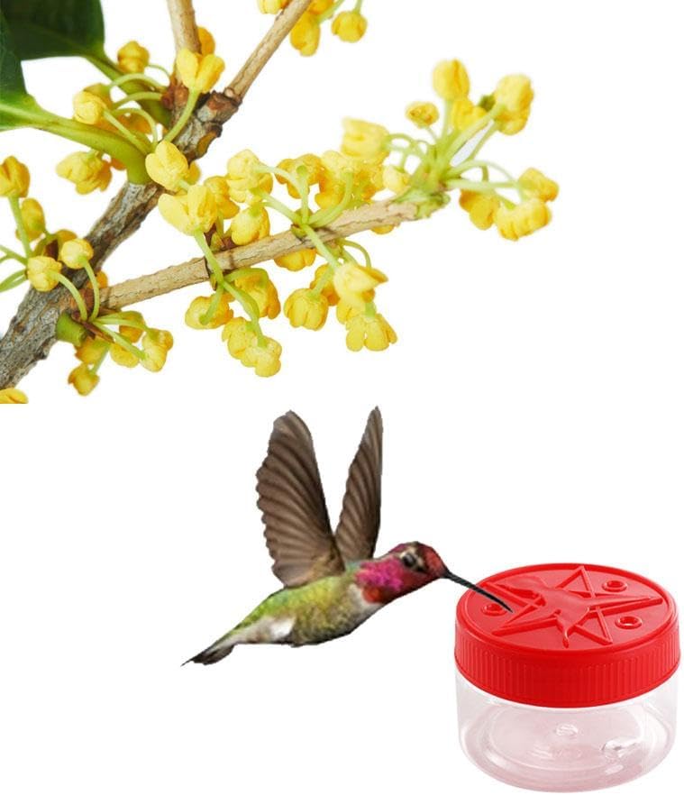 Kopida 4Pcs Red Handheld Hummingbird Feeders, Portable Window Bird Feeders for Outdoor Supplies