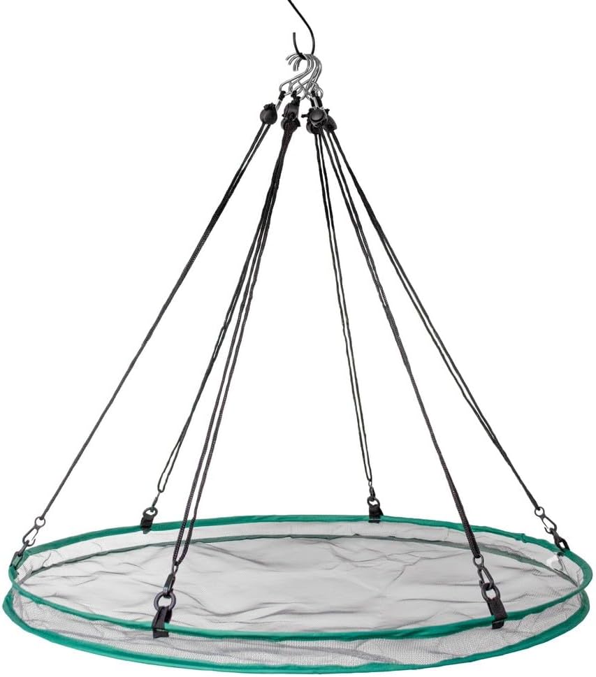 Songbird Essentials SEIA30024 Seed Hoop Seed Catcher & Platform Feeder
