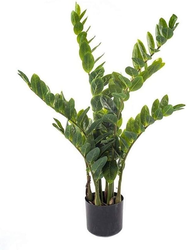 Home Fake Flower Pot Landscape Simple Garden Artificial Money Tree Green Potted Plant Indoor and Outdoor Decoration 60X85cm