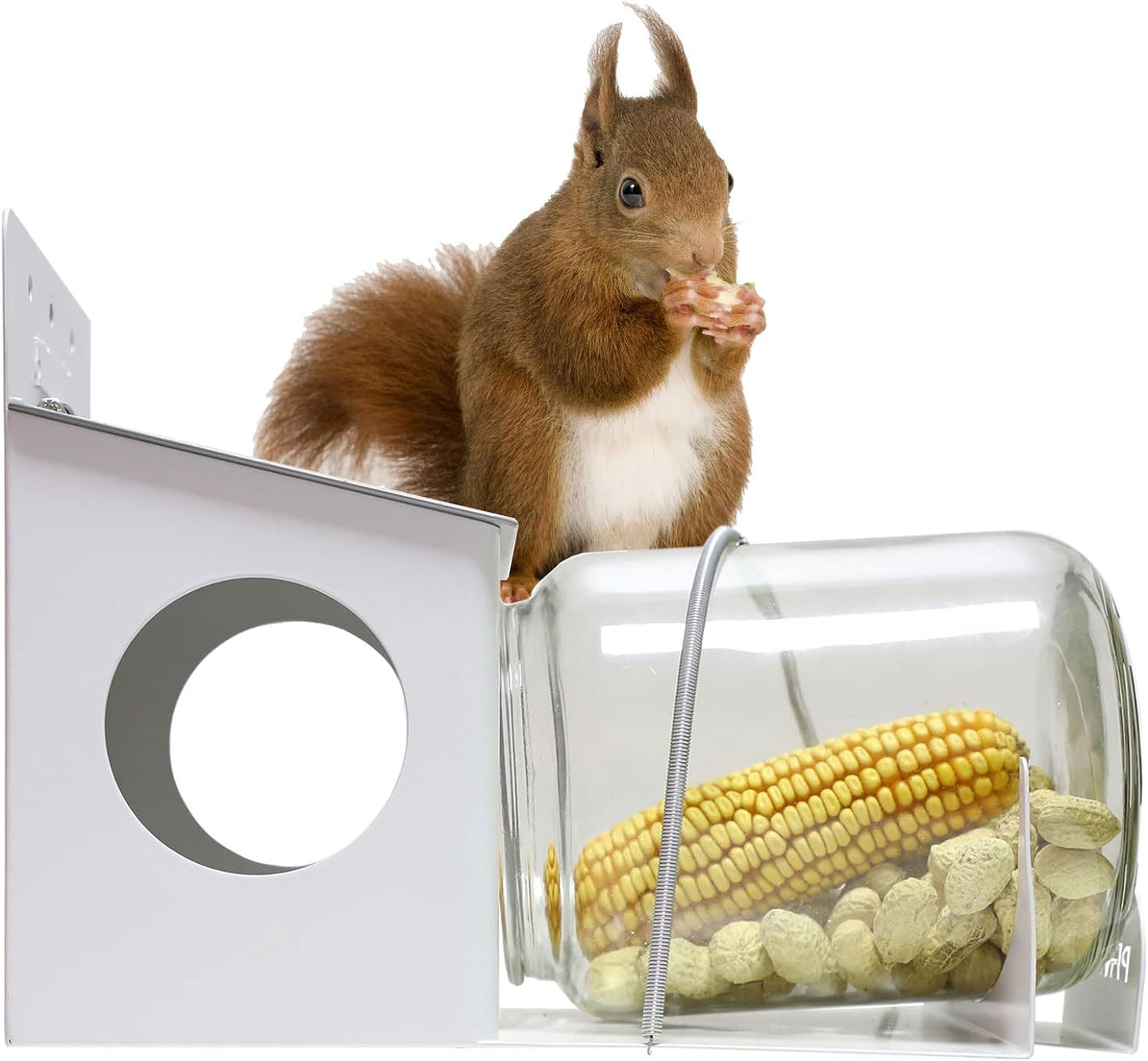 Squirrel Feeder, Backyard Gallon Jar Squirrel Feeder for Outside,Enjoy