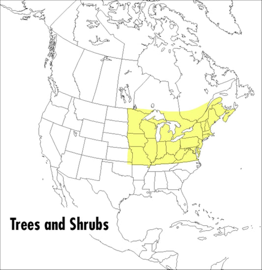 A Peterson Field Guide To Trees And Shrubs: Northeastern and North-Central United States and Southeastern and South-Central Canada – A Visual Identification of 646 Species