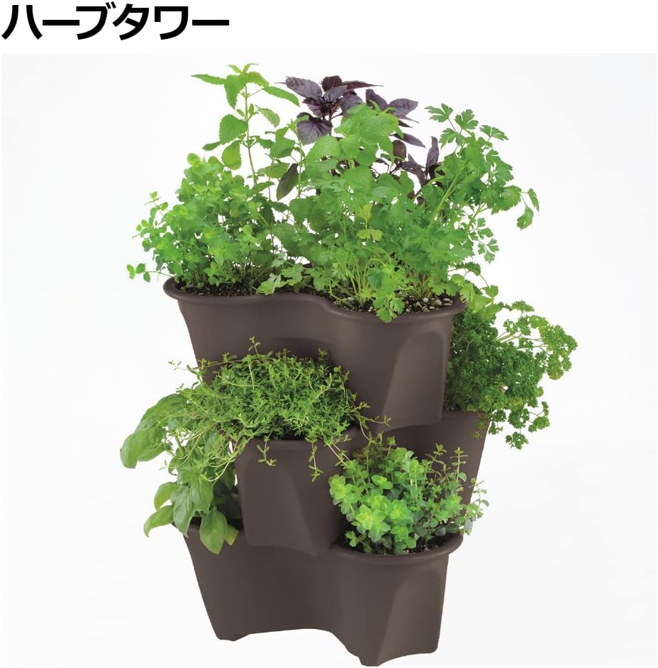 Richell Harberry Pot Type 52 N Dark Brown