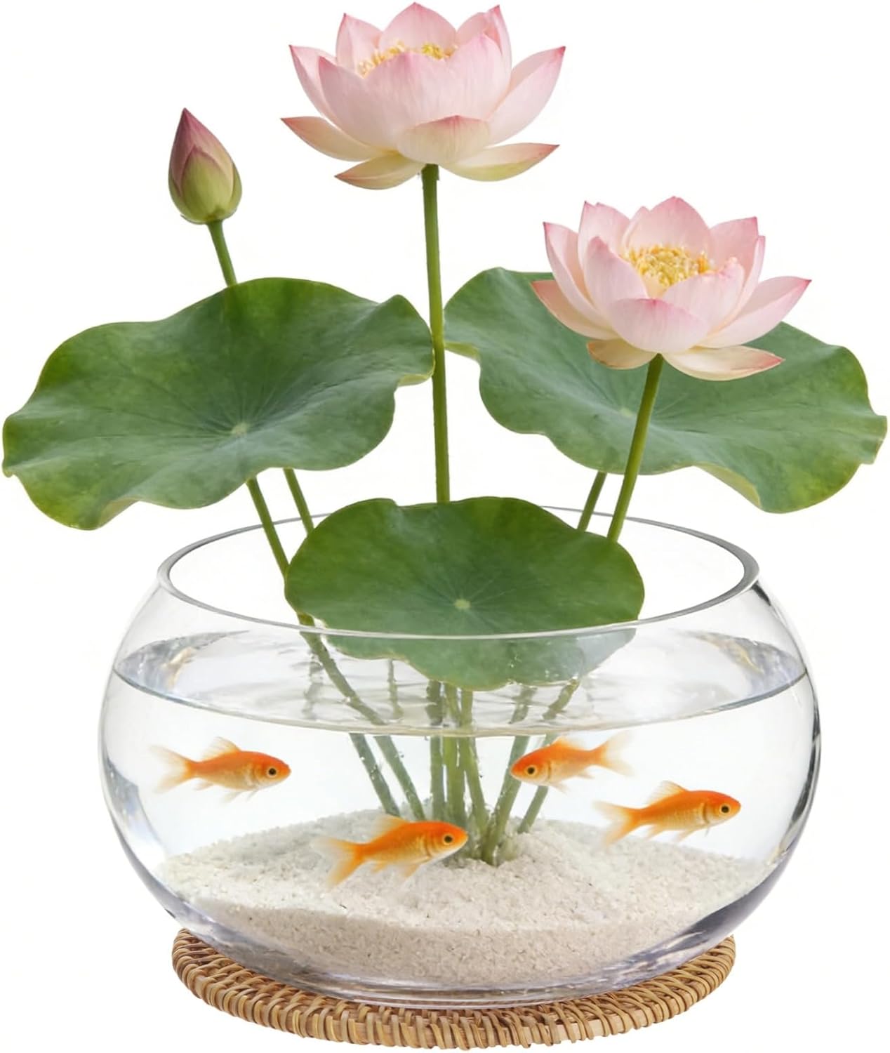Lotus Bowl Planter with Rattan Mat - 10 in Round Glass Vase Bowl Hydroponic Lotus Planter Pot Propagation Vases Fish Bowl for Water Greens, Transparent Decorative Lotus Pot, Fish Tank