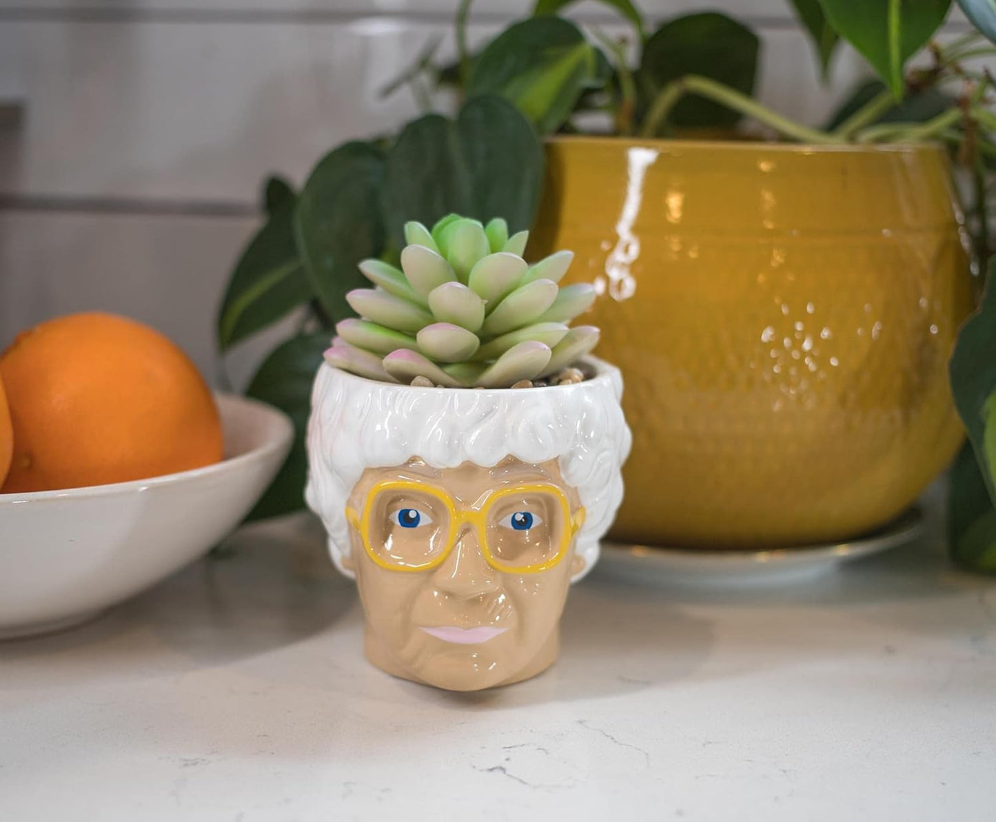 Silver Buffalo The Golden Girls Sophia Face Mini Ceramic Planter Decor | Official TV Show Collectible | Small Flower Pot for Indoor Plants, Includes Artificial Succulent | 3 Inches