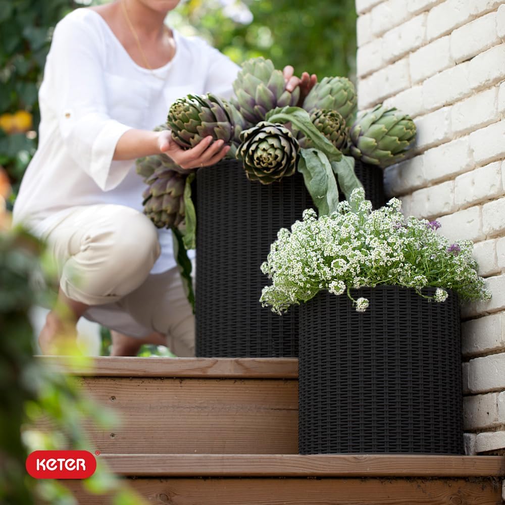 Keter Cylinder Set of 3 Rattan Resin Planter for Indoor and Outdoor Pl