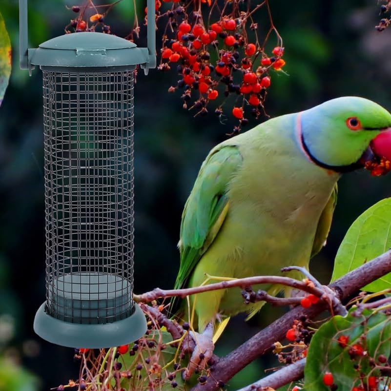 2pcs Outdoor Bird Feeder Grease Container Metal Bird Tube Feeder Metal s Food Container Suet Automatic Pet Resting Tool Hanging Plastic