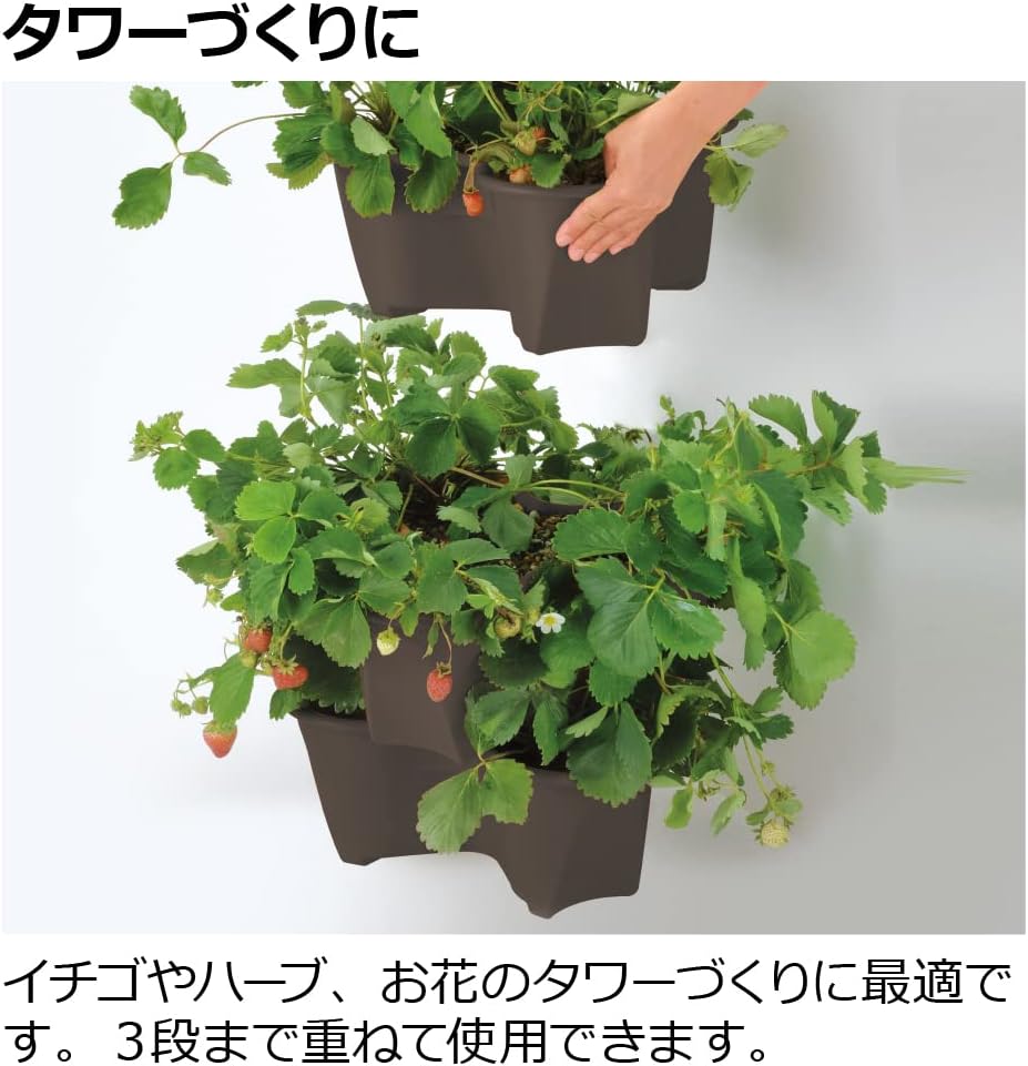 Richell Harberry Pot Type 52 N Dark Brown