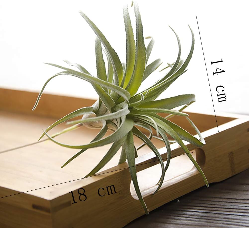 ChezMax Artificial Flocking Tillandsia Air Plants Pineapple Grass Faux Succulents Bromeliads Home Garden Decor 2Pcs 4#