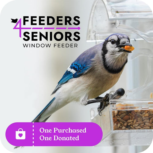 Window Bird Feeder with Strong Suction, Removable Tray & Clear Modern Design