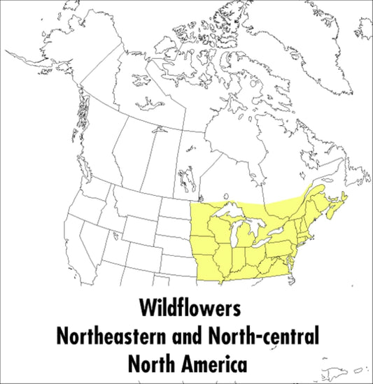 A Peterson Field Guide To Wildflowers: Northeastern and North-central 