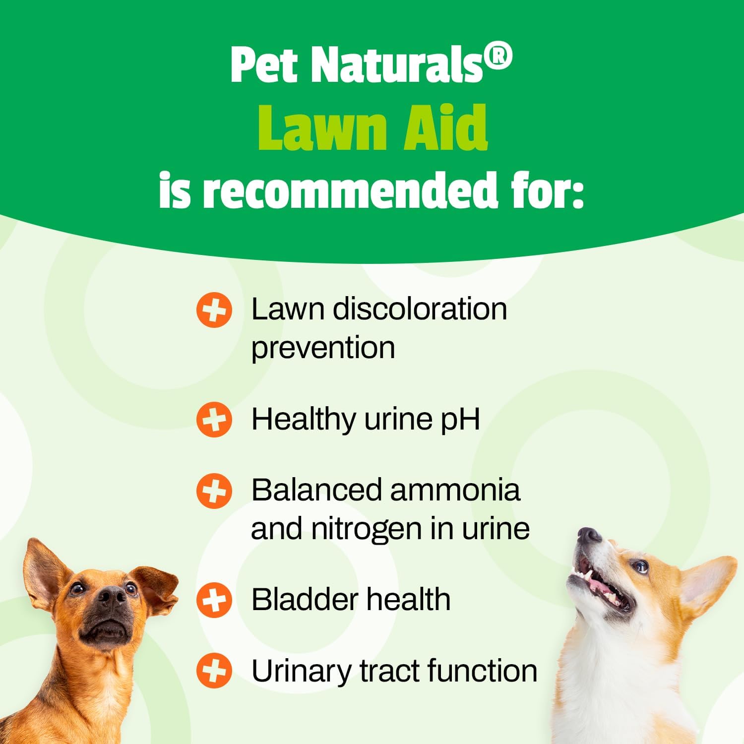 Pet Naturals Lawn Aid Dog Urine Neutralizer for Lawn - 60 Chicken-Flav