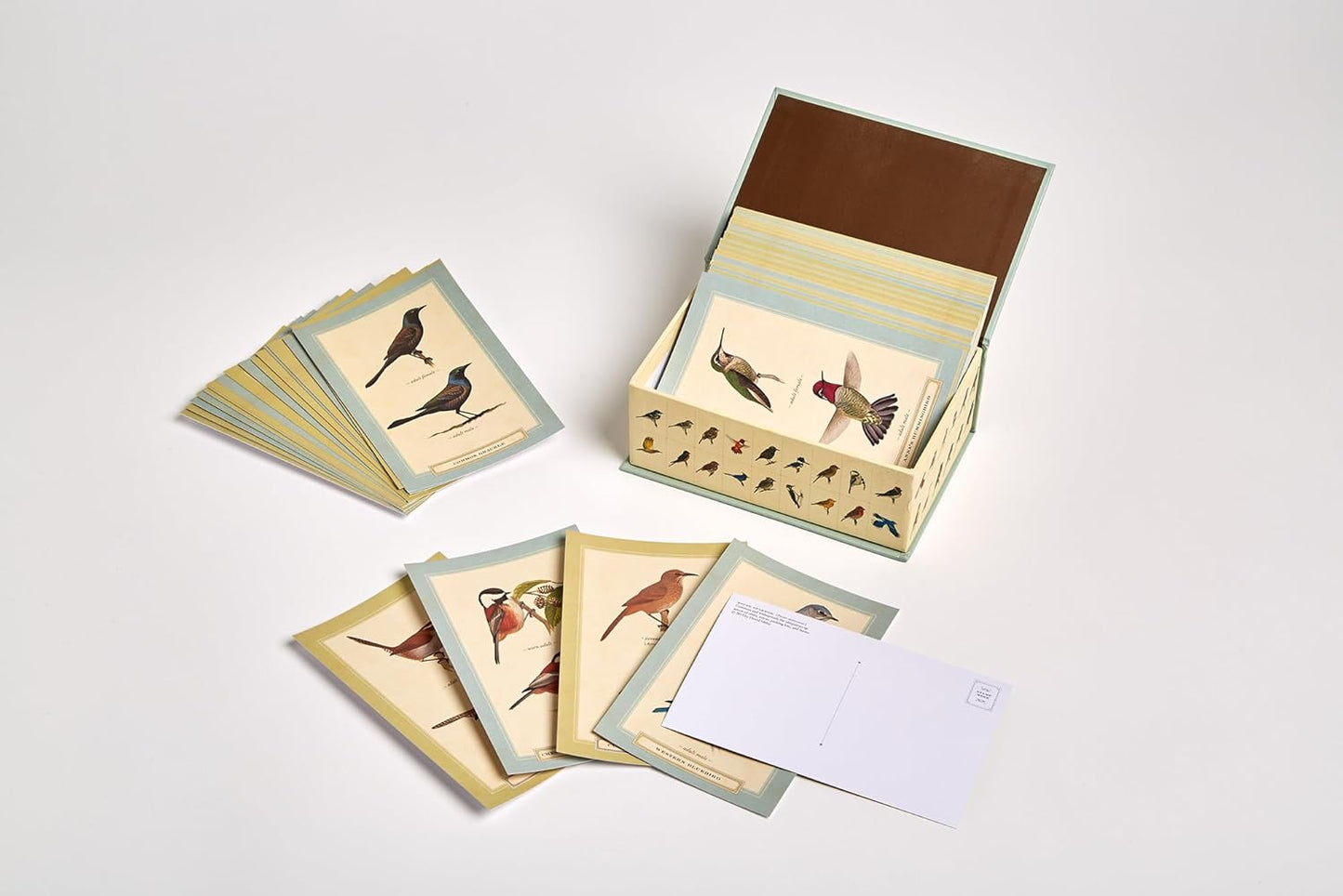 Sibley Backyard Birding Postcards: 100 Postcards (Sibley Birds)