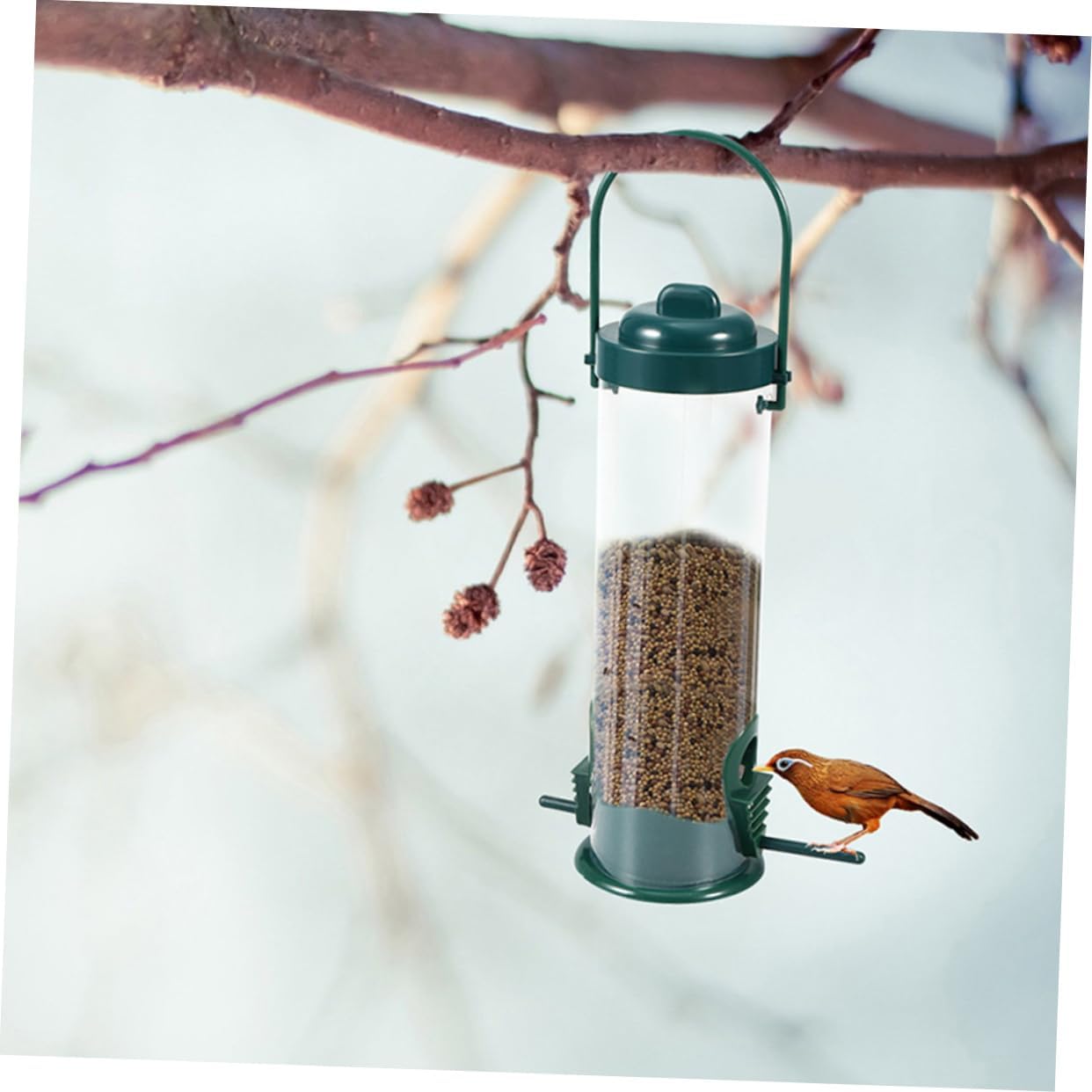 Milisten 2pcs Hanging Bird Feeder Outdoor Garden Decoration Plastic Bi