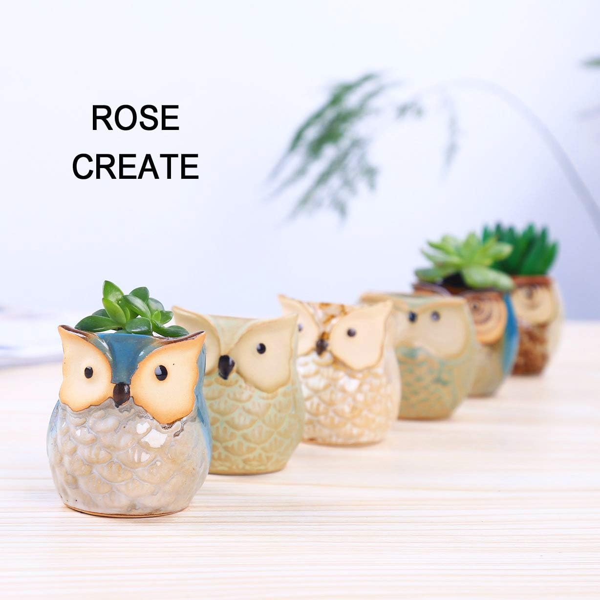6 Pcs 2.5 Inches Owl Pots, Little Ceramic Succulent Bonsai Pots with a Hole - Pack of 6