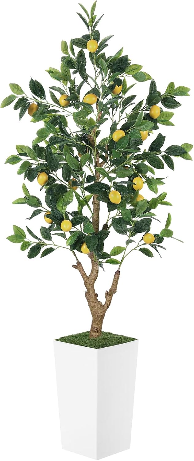 5FT Artificial Lemon Tree with Pot - 60" Fake Lemon Tree with White Tall Planter, Faux Lemon Plant with Realistic Fruits and Silk Leaves, Artificial Plants Indoor for Home Office Kitchen Decor