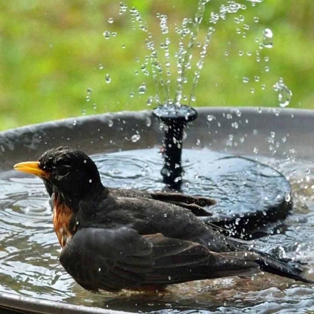 Solar Fountain, Solar Powered Bird Bath Fountain with 4 Nozzles 1.4W S