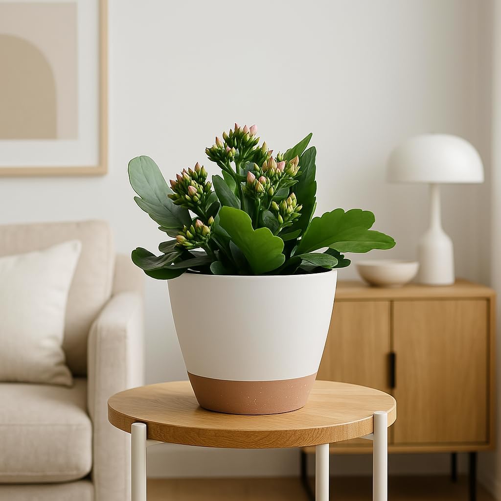 Plant Pots 12/10/9 inch Set of 3, Self Watering Flower Pots Indoor Out