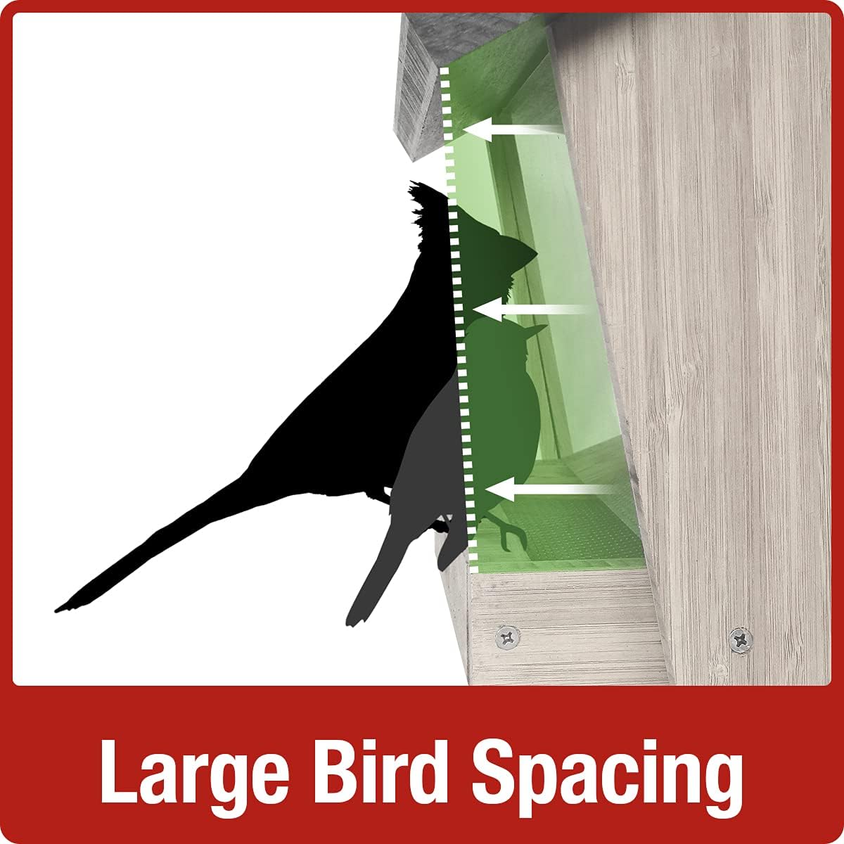Nature's Way CWF28 Cedar Hopper Bird Feeder with Suet Cage, 8 x 12.5 x 8.5, Black