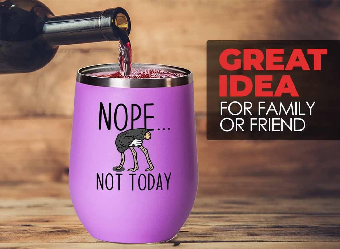 Bird Lover Pink Edition Wine Tumbler 12oz - Nope not Today - Hummingbi