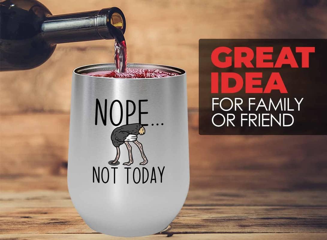 Bird Lover Silver Edition Wine Tumbler 12oz - Nope not Today - Humming
