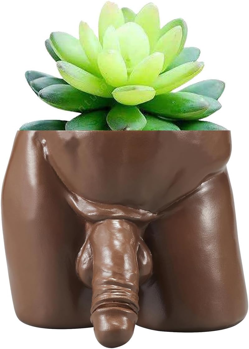 Body Vases for Decor Penis Planter Cool Decor Pot, Male Plant Pots — Body Vase Christmas Valentine's Day Gift Unique Planter (Brown, L)
