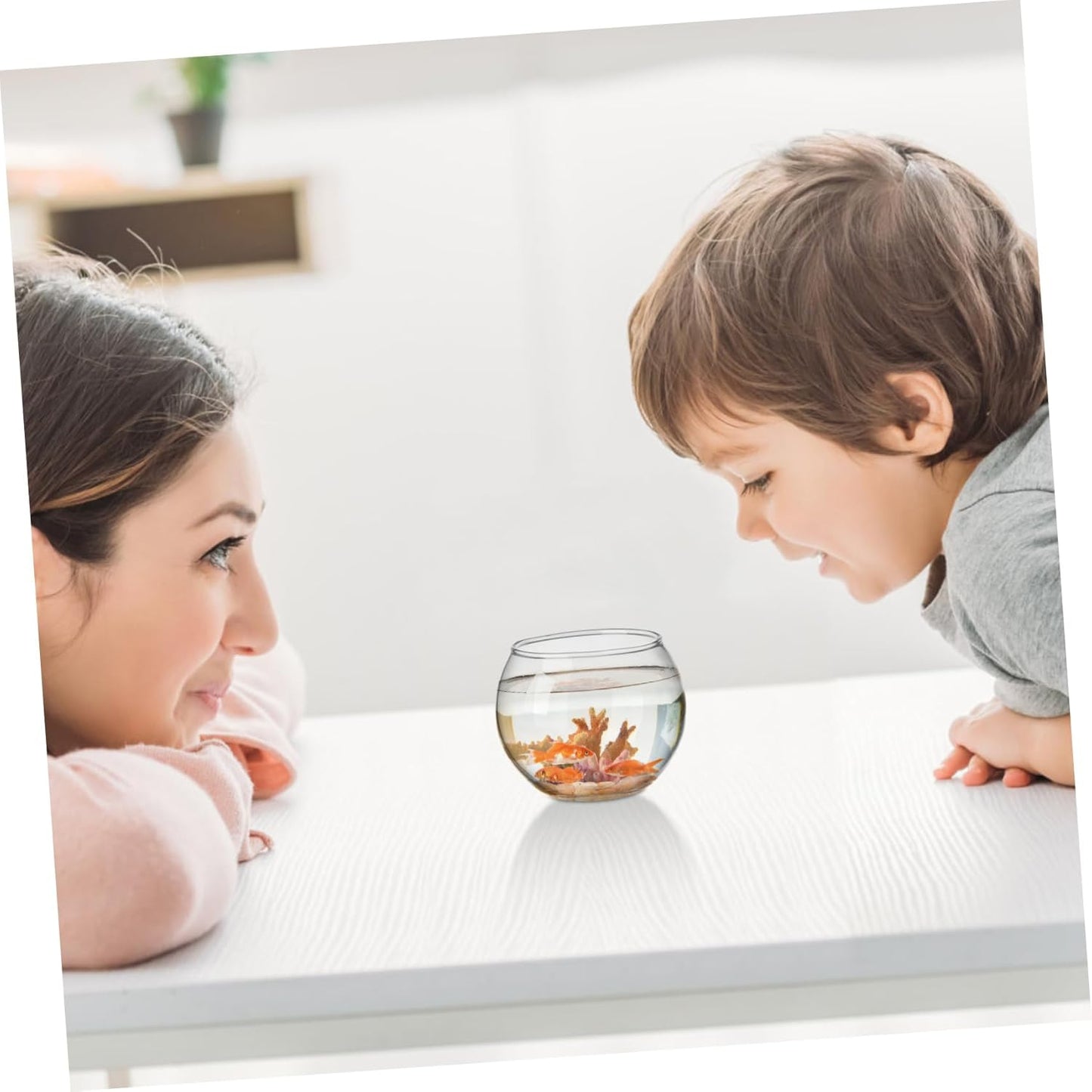 PRETYZOOM 2pcs Hydroponic Glass Vase Creative Desktop Flower Holder fo