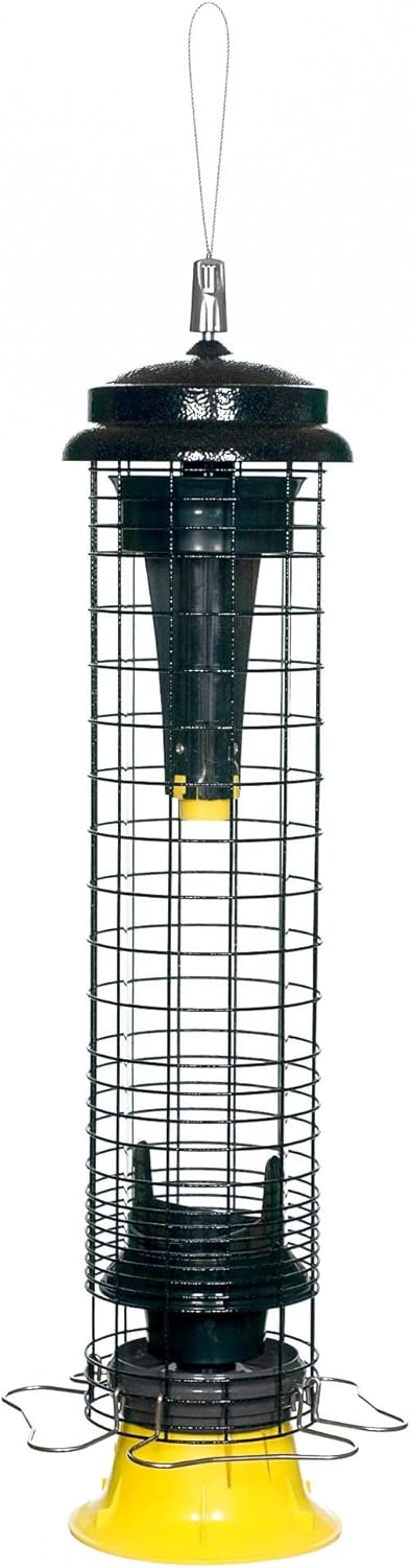 Brome Squirrel Solution 150 Squirrel-Proof Bird Feeder for Wild Birds – 4 Stainless Steel Perches, 2.6 lb Seed Capacity, Chew-Proof, Free Seed Funnel Included