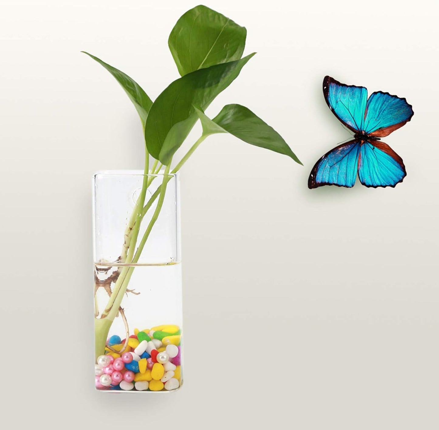 Hanging Glass Vase, Glass Vase for Plants and Flowers, Flower Planter Wall Hydroponic Aquarium Container Home Decor (Long Tube Shape)