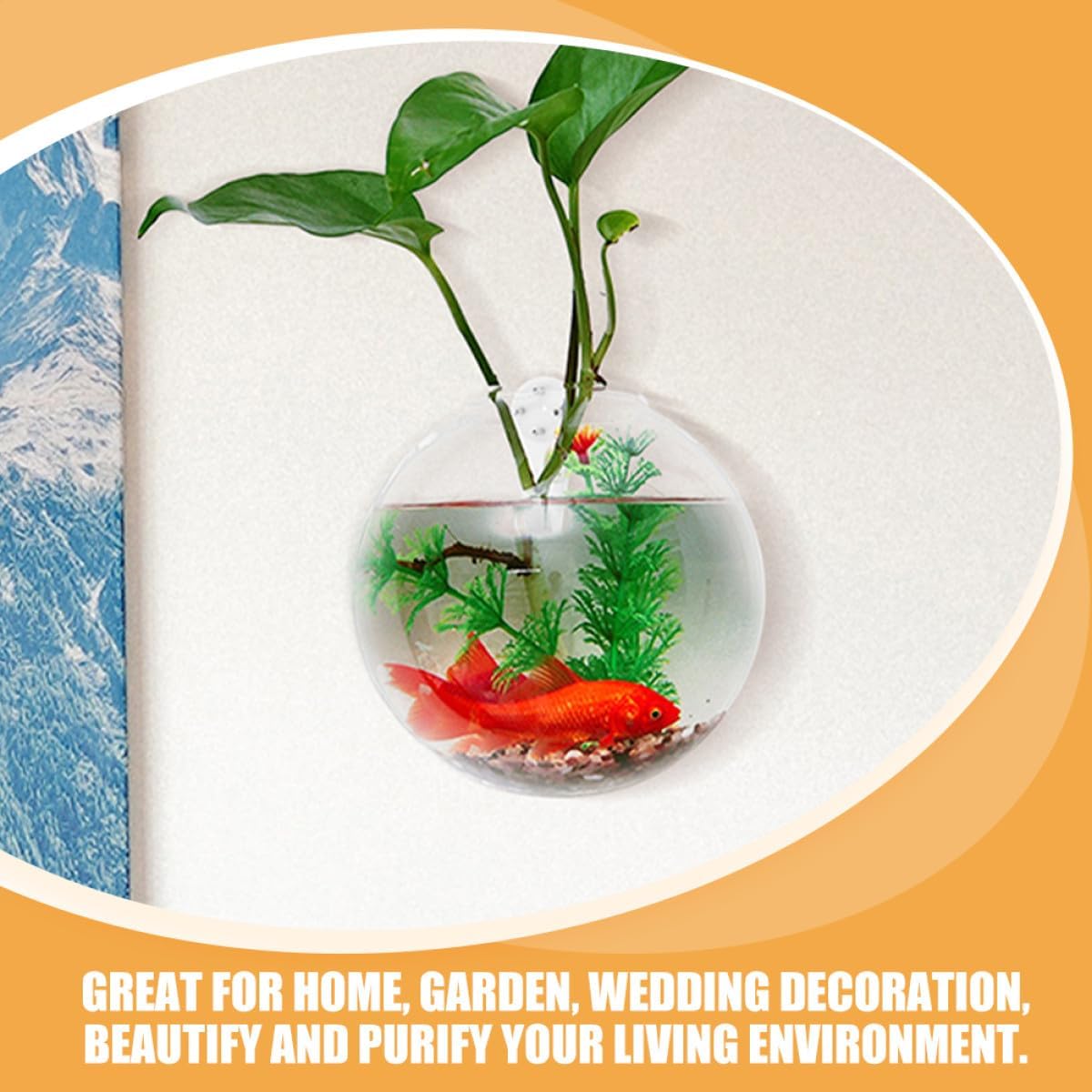 Hanging Wall Planter Glass Vase Set, 4pcs 10cm Hydroponic Terrarium Gl