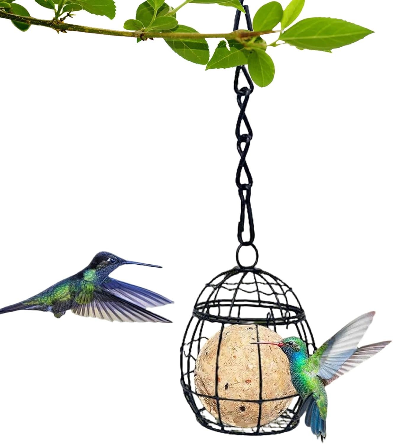 Suet Bird Feeder - Metal Squirrel Proof Wildlife Food Station, with Ho