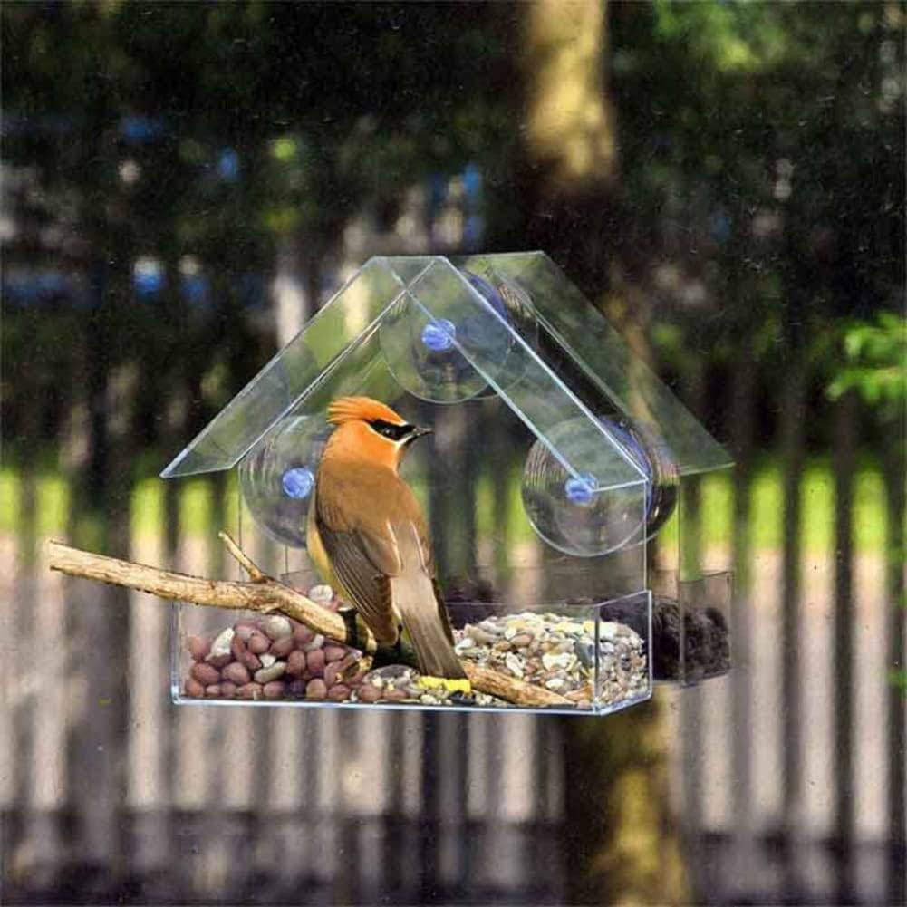 Window Bird Feeder, Transparent Bird Feeding Tool with Suction Cups fo