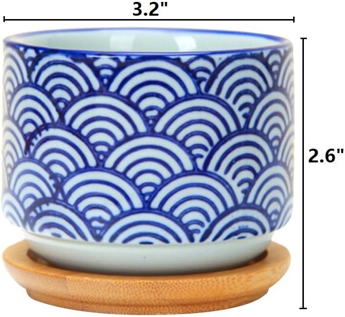 GeLive 3 Inch Ceramic Succulent Planter, Cactus Plant Pot, Flower Container with Bamboo Drip Tray, Indoor Outdoor, Set of 2 (Wave and Blue Flower)