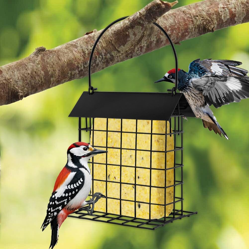 Suet Bird Feeder for Outside Hanging,Suet Feeder Holder with Bird House Hanger,Suet Cake Cage Holder,Single Suet Cage Bird-Feeder,Suet Holder for Wild Birds Woodpecker