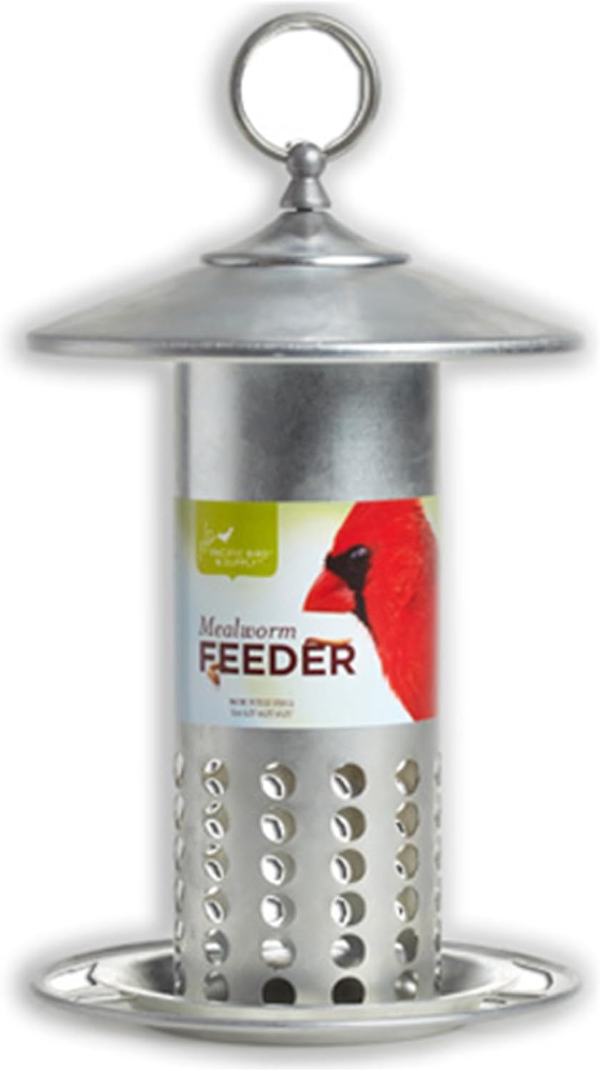 Pacific Bird and Supply PB-0037 Galvanized Mealworm Feeder, 6.25" x 6.25" x 11.25", Silver
