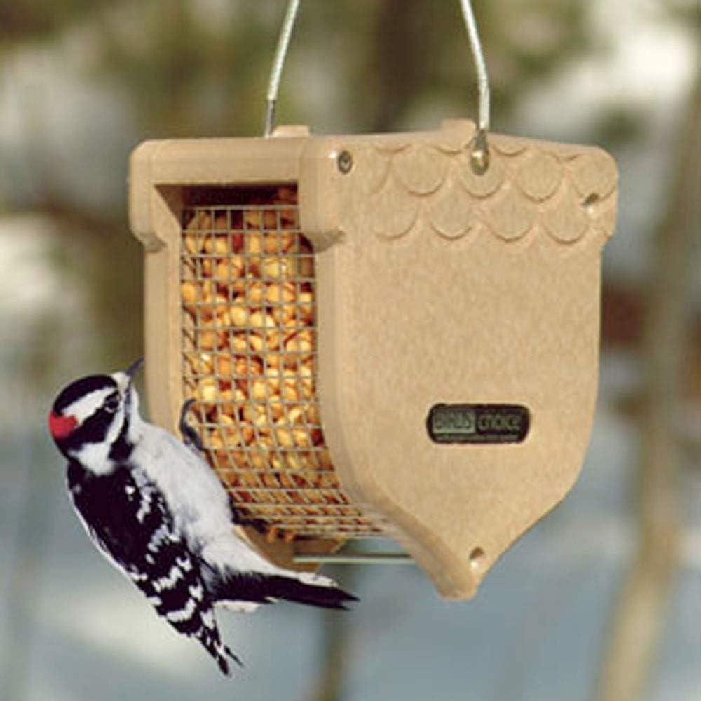 Birds Choice ACORN Peanut Feeder, Acord-Shaped Bird Feeder, 1 Quart, Taupe