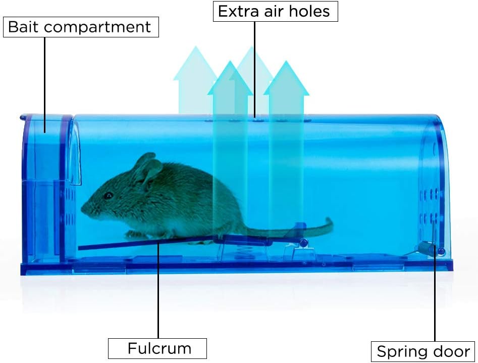 Humane Mouse Trap | Catch and Release Mouse Traps That Work | Mice Tra