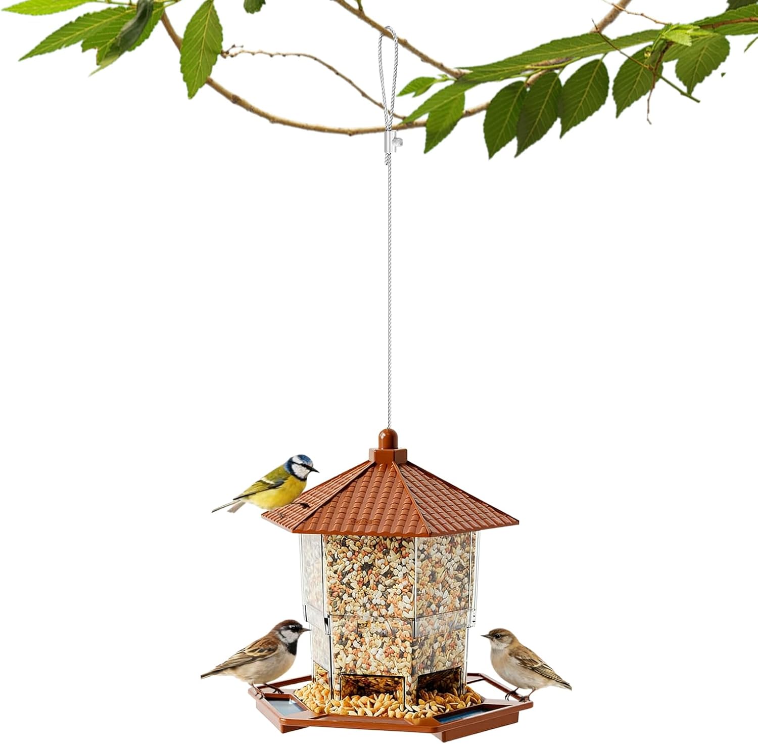 Bird Feeder Hangable, Refillable Water Bowl, Squirrel Proof Window, Du