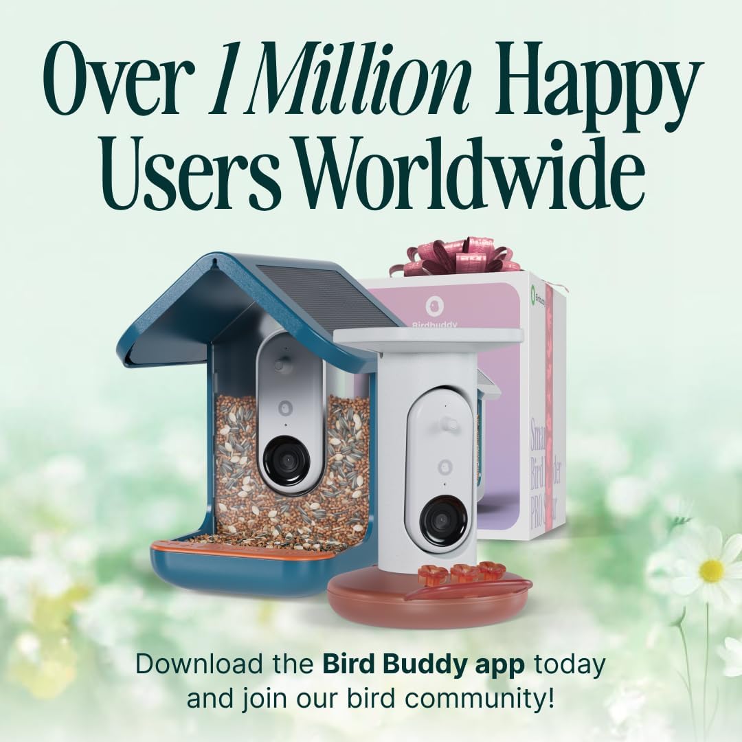 Birdbuddy Smart Non-Solar Pro Hummingbird Feeder with Camera - AI Bird Identification, 2K Video, 5MP Photos, Outdoor Hanging, Gift for Bird Watching