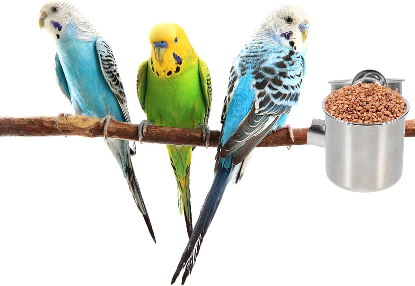 PRETYZOOM 2pcs Stainless Steel Bird Feeder Cups with Clip Holder Small and Medium Parrot Food Bowls for Bird Cage Feeding Sturdy Cage Food Holders for Parrots