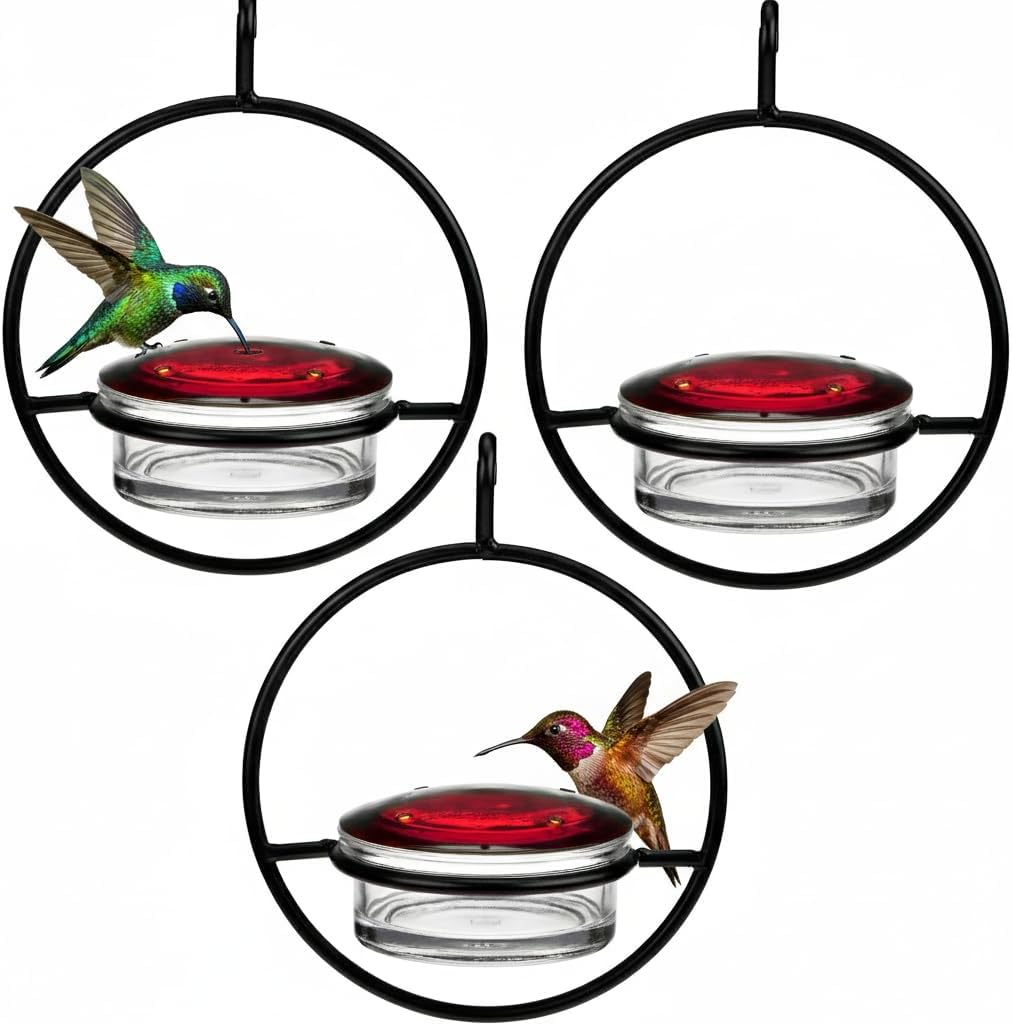 Hummble Slim Glass Hummingbird Feeder 3.4 oz Capacity, Clear Recycled Glass Hanging Feeder| for Garden, Pack of 3