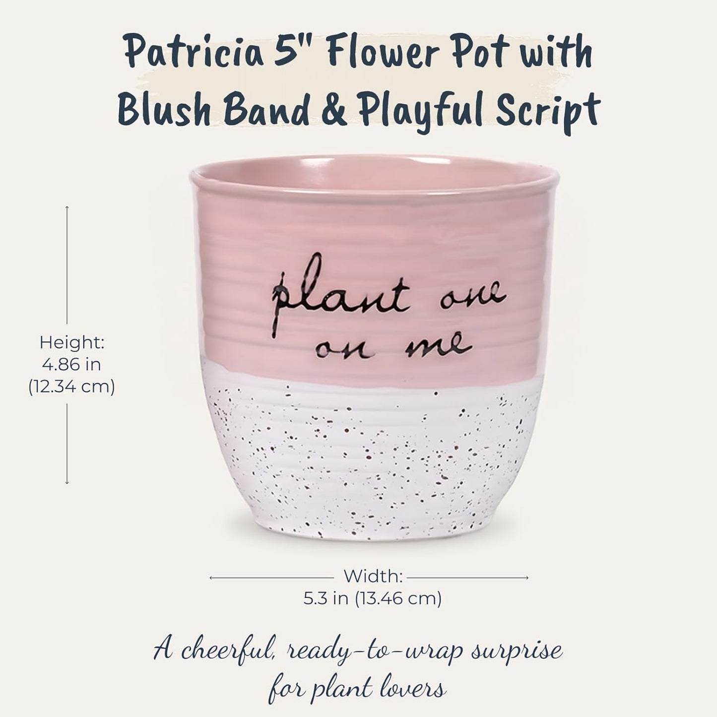 Blue Sky Clayworks Patricia 5" Flower Pot, Ceramic, 6" D x 5" H, Blush Script & Speckles