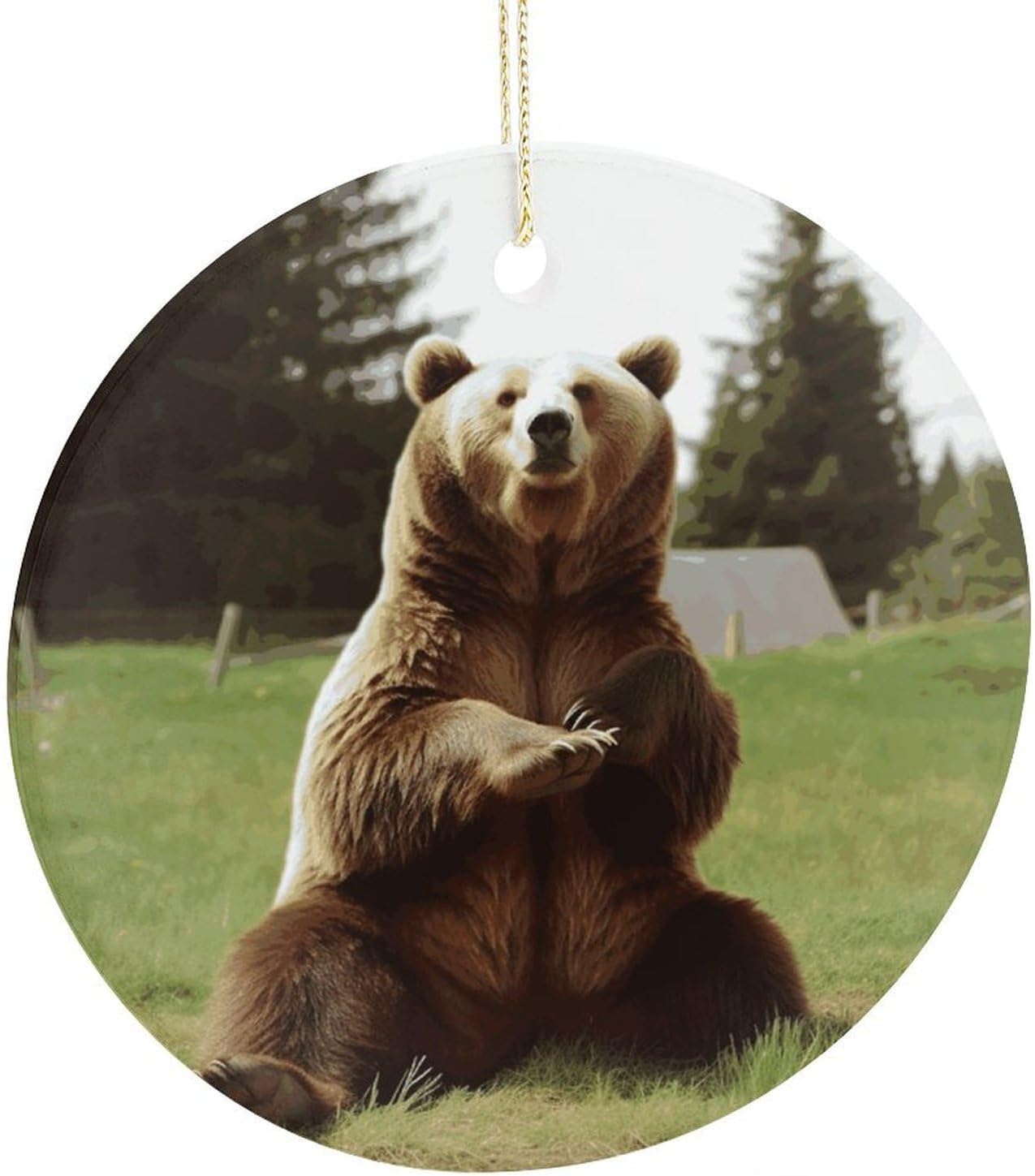 Hi Bear Sit on The Lawn Sublimation Ceramic Ornaments Round Hanging Ornament Fashion Pattern Pendant Double-Sided Printing Hanging Decorations for Home Party Mall Wall Decor