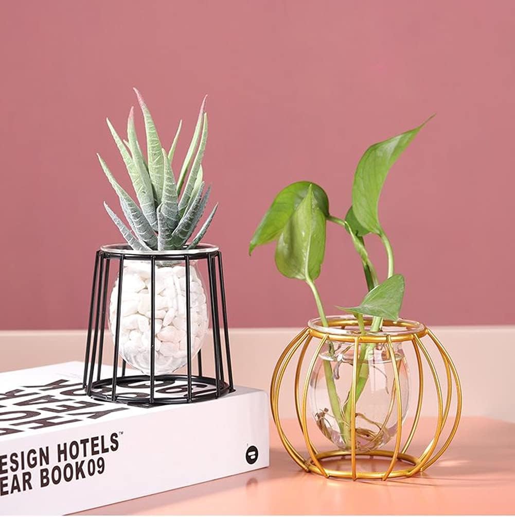 Glass Vase Nordic Small Flower Vase Clear Glass Bud Vases with Metal Geometric Iron Line Cup Vase Pot for Hydroponic Planter Flowers Rack Stand Modern Home Décor Desktop Table Vase Decor (Black,D)