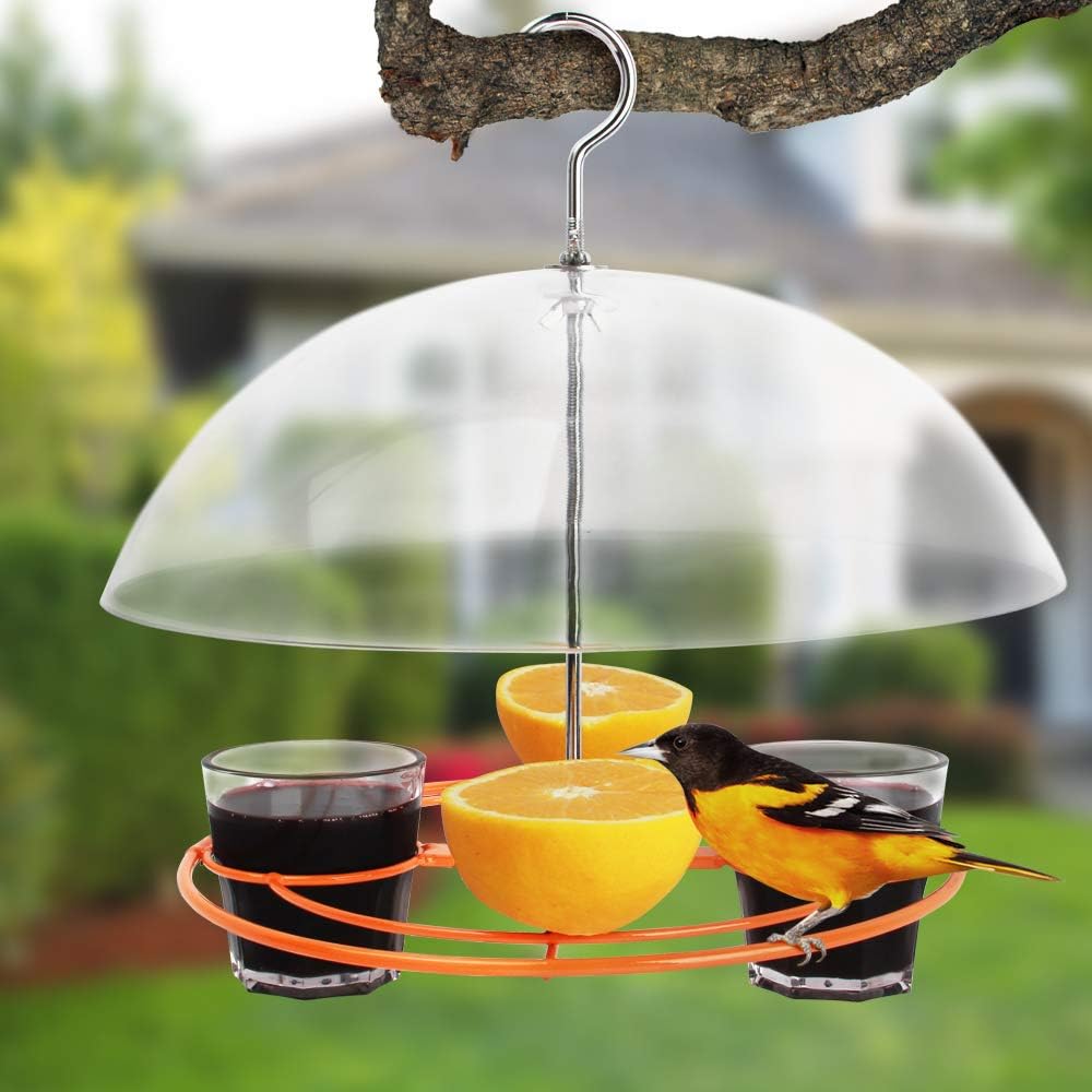 Solution4Patio Baltimore Oriole Feeder, Orange Halves Fruit & Grape Jelly, and Mealworm for Bluebirds, Weather Guard Squirrel Baffle #G-B312A00-US