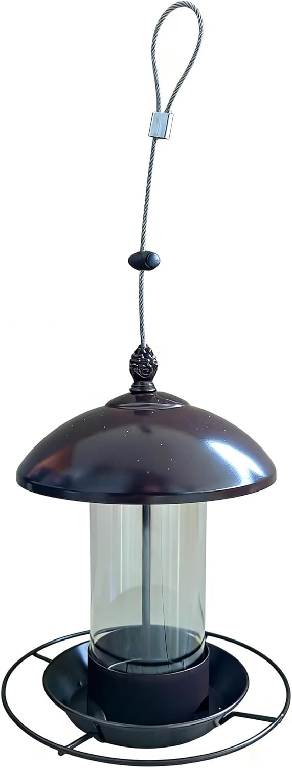 Metal Bird Feeder for Outdoors Hanging - Squirrel Proof & Chew Proof Wild Bird Feeders - Heavy Duty Vintage Lantern with Rain Guard for Cardinal, Blue Jay, Finch (Bronze)