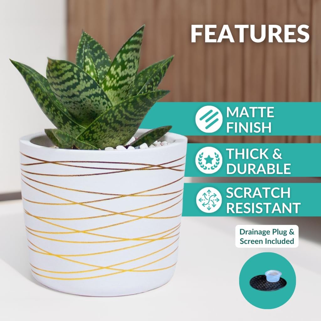 Willowy 6 Inch Ceramic Pot - Matte White with Gold Stripes - Drainage Plug Included